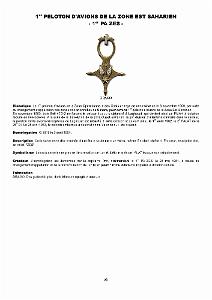610 LES INSIGNES DE L ALAT EN AFN PAR CHRISTIAN MALCROS_000056